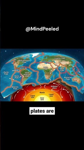 This Happens Before Every Earthquake #science #shocking