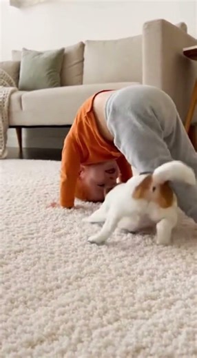 Toddler vs. Puppy Obstacle Course! 😂 Jack Russell Parkour #Shorts #funnypuppy