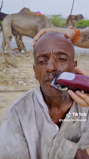 Understanding the Impact of Movies on Culture