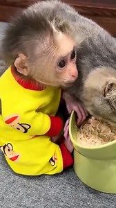 Lala enjoys a breakfast full of love with Mom and Siba after many days apart! #Kakavideo | Kaka Video