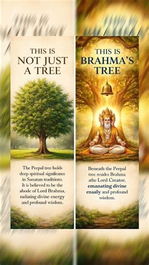 Importance of Peepal Tree? 🌳🕉️ Divine Secrets of Sanatan Dharma Revealed! #SanatanDharma #PeepalTree