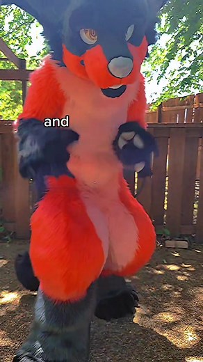 Furry Cosplay vs Traditional Cosplay: A Comparison