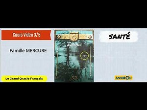 Vidéo 3/5 Interprétation Cartes 33 et 34 du Grand Oracle Français