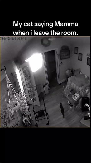 Tracy Lynn❌️ (@tracylynn31)’s videos with original sound - Tracy Lynn❌️