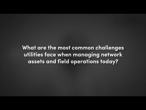 Modernizing Utility Field Operations with AI