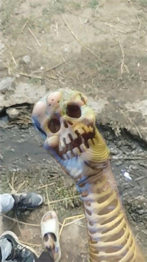 #jumpstyla hand robot#lifeisbutadream