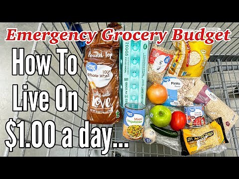 Eating For $1 A Day (Full Week)