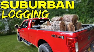 Suburban Logging: Cherry Firewood Cleanup Adventure