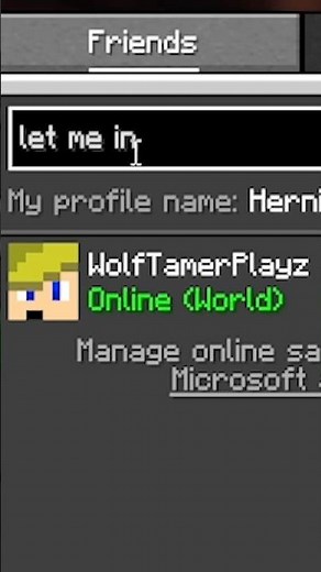 You can add friends on Java Minecraft now!?