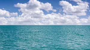 Brazilian Fisherman Survives by Clinging to Ocean Buoy for 2 Days