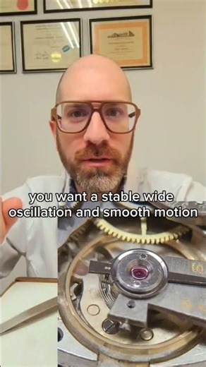 What a Healthy Balance Wheel Looks Like 👀⚙️