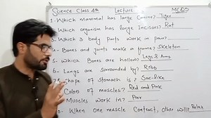 یہPSTٹیسٹ کےتیاری کےسلسلےمیں دوسری ویڈیوہے۔ Class 4th Science | Lecture 02 ETEA PST Science Series 2025: Chapter 1 MCQs | Characteristics and Life Processes of Organisms۔ "Welcome to our Science Series for PST test preparation through ETEA 2025! In this lecture, we'll cover important MCQs from Chapter 1: Characteristics and Life Processes of Organisms. These MCQs are crucial for your PST test preparation, and we'll break them down in a simple and easy-to-understand way. Watch now and start your 