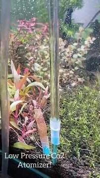 How i made Diy Co2 diffuser..