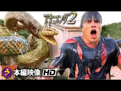 モンスターパニック・ホラー映画『アナコンダ2』特別映像 （最高のシーン）