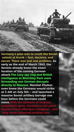 The Soviets Knew Every Detail of Germany's Attack — and Let Them Come Anyway | Battle of Kursk