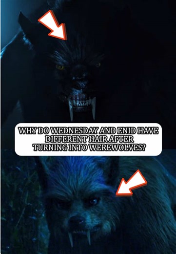 Difference in Werewolf Transformations: Wednesday vs. Enid