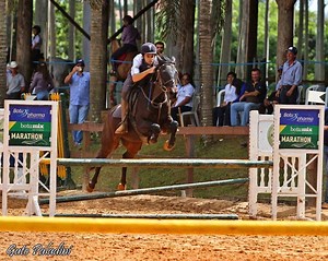 É Campeão! 🏆🥇🏇 Lucca Chirinéa Botupharma TEAM Conquista o Campeonato Brasileiro de Hipismo Rural Abhir - Cat Intermediária 90cm - 2017. Montando Poente Botupharma e Thor, Lucca esteve sempre nos primeiros lugares nas etapas durante o ano e na etapa final consolidou a conquista do campeonato com o 1º lugar... sempre junto com sua Família, treinador e com a Botupharma! 👏👏👏👏 #campeão #BotupharmaTEAM #marathonbotumix #artroplus Abhir Hipismo Rural II Lucca Chirinéa #hispismorural | Botupharma
