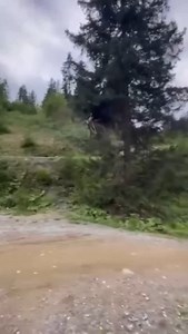 4.2K views · 868 reactions | When you think you’re about to ride like...