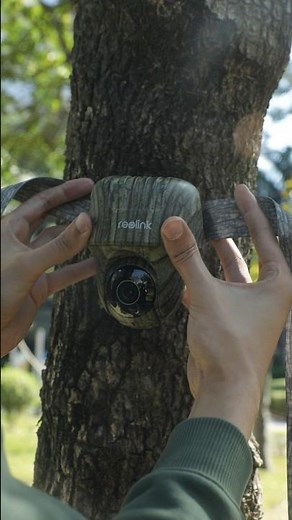 Set up The Go Ranger PT #reolink #securitycamera #cctv #outdoortech #tech #offgrid #animals #cctv