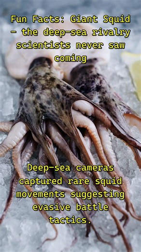 Giant Squid vs Sperm Whale — the deep‑sea feud scientists underestimated