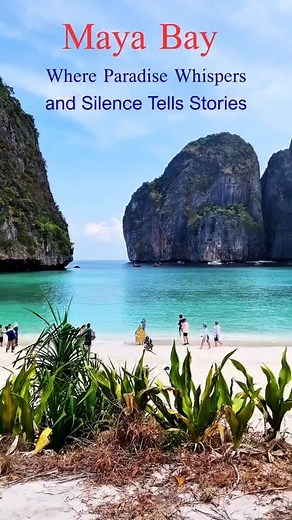 Maya Bay Thailand — Most Beautiful Paradise View 🌊✨ Maya Bay… where the ocean feels magical and every wave whispers peace 🌊✨ Crystal-clear water, white sand, and the breathtaking cliffs—এক কথায় স্বর্গ! 😍⛰️ If paradise had a name, it would be MAYA BAY 💙🌴 Feeling blessed to experience this beauty ❤️🌅 #azsultana #fypシ゚ #fypシ゚viral #mayabay #ThailandDiaries #travel | AZ Sultana