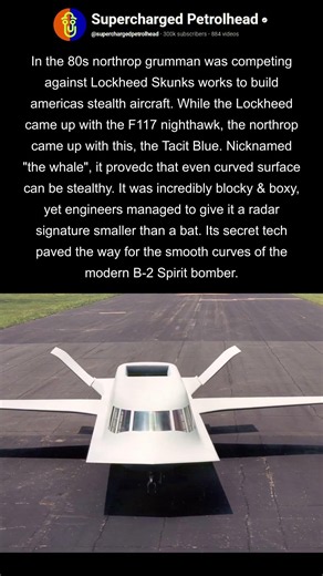 The american stealth flying whale