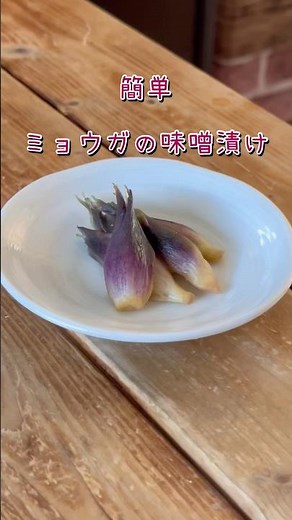 簡単「ミョウガ味噌漬け」