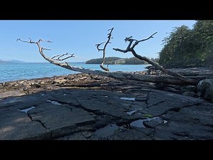 Anacortes-Washington Park