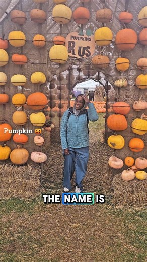 Pumpkin run without the kids! 🎃 Mac and Blair slip off for a cozy autumn date to pick out the perfect pumpkins, sip warm drinks, and enjoy a little quiet time. Fall vibes, orange fields, and just the two of us!. #MacAndBlair #PumpkinPatch #AutumnVibes #FallDate #PumpkinShopping | McArthur Billing Jr.