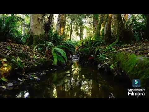 Bible Characters Exodus Series 4: Part 4 - The Israelites