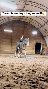 21K views · 244 reactions | This big guy is coming along so well &...