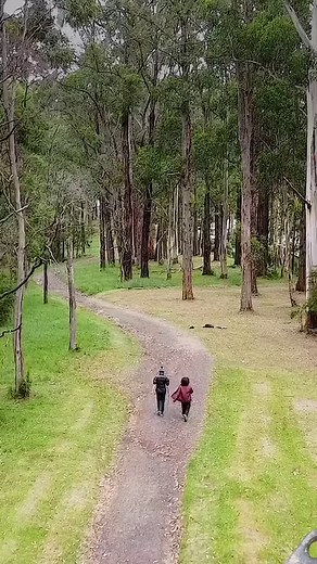 420K views · 566 reactions | Learn how to forage and cook traditional...