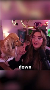 grumbly Dachshund wants a treat 🥺