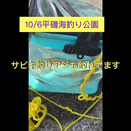 今年はカワハギ大きく価値がある！ 平磯海づり公園 fishingmax垂水店