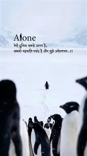 मेरी दुनिया सबसे अलग है 🐼 #alone #shayari #sad
