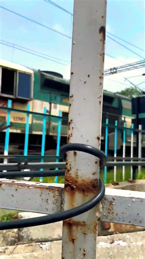 Wdg4 + Wdg4d locomotive