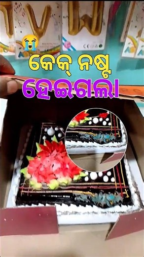 ଜନ୍ମଦିନରେ କେକ୍ ନଷ୍ଟ 😱 #minivlog #shorts