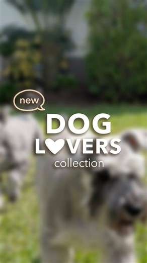 Dog Lovers Collection 🐶 Un homenaje a quienes llenan nuestros días de alegría. Ya disponible en preventa exclusiva web 💛 👉🏽 www.marcelowong.com Gracias a Candy y Dolly por ser parte de este proyecto 🐾 El inicio de una colección que seguirá creciendo… #marcelowong #artanddesign #dogloverscollection | Marcelo Wong