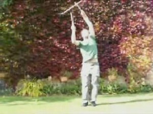 Mjchael baton du diable