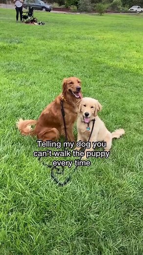 Adorable Baby Coco Listens to Mommy