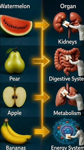 How Fruits Support Your Body’s Vital Systems