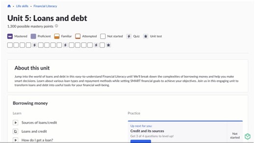 Loans and debt unit overview