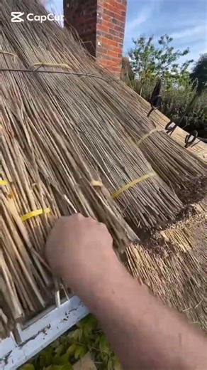 Traditional Roof Thatching Skills