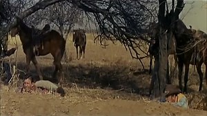 Gunsmoke in Tucson (1958) Mark Stevens, Forrest Tucker, Gale Robbins