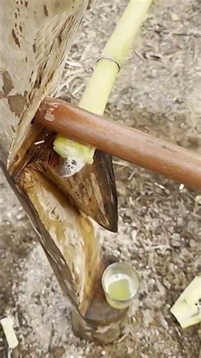 Smart Sugarcane Juice Extraction Method