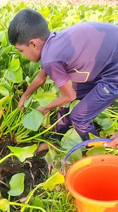 6.7K views · 38 reactions | Fishing in indian village | MRL HD | Facebook