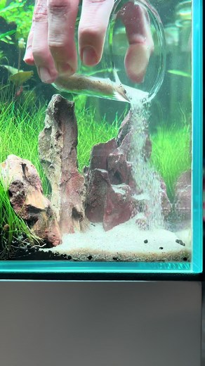 Beach Aquascape Ideas for Your Aquarium