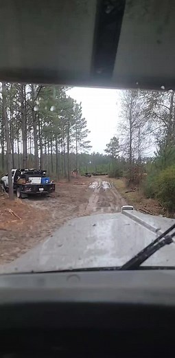 @cunter2013 @cburg91 #Pulpwood #loggerlife #TryingNotToRainout