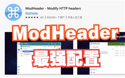 ModHeader使用指南，最强配置指导，NewBing使用必备指南