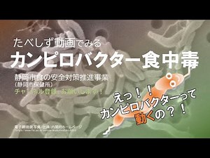 カンピロバクター食中毒を分かりやすく解説 #生肉 #解説 #試験